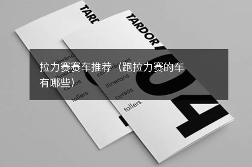 拉力赛赛车推荐（跑拉力赛的车有哪些）