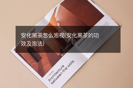 安化黑茶怎么泡视(安化黑茶的功效及泡法)